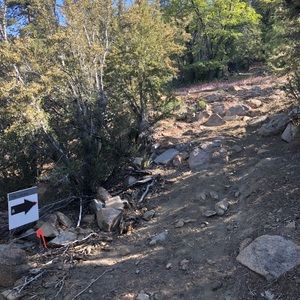 Meet your Posher, Yesenia